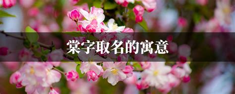 棠名字意思|棠字取名有什么寓意和含义